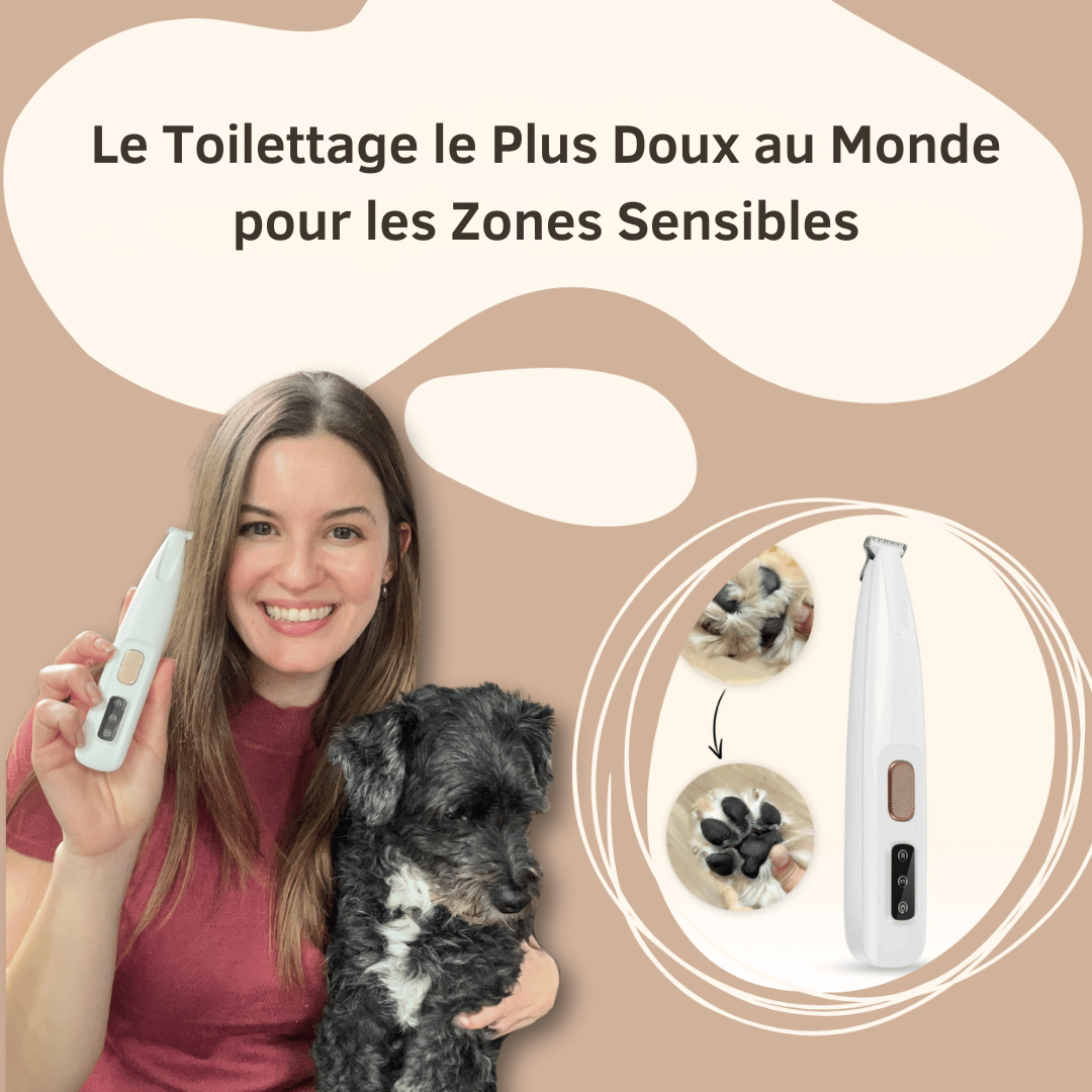 Tondeuse Électrique pour Chien ( 1 ACHETE = 1 OFFERT)